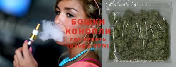 гашик Осташков