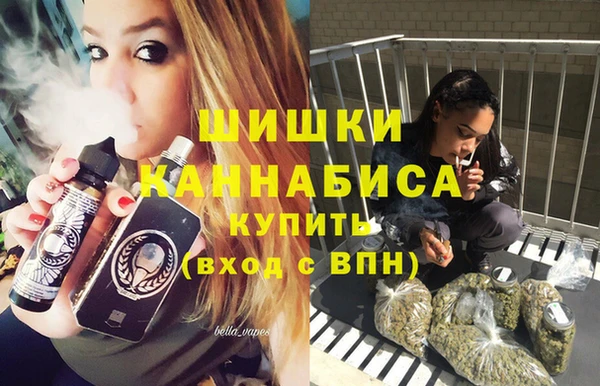 гашик Балахна