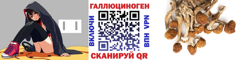 гидра ТОР Старая Русса Галлюциногенные грибы мицелий